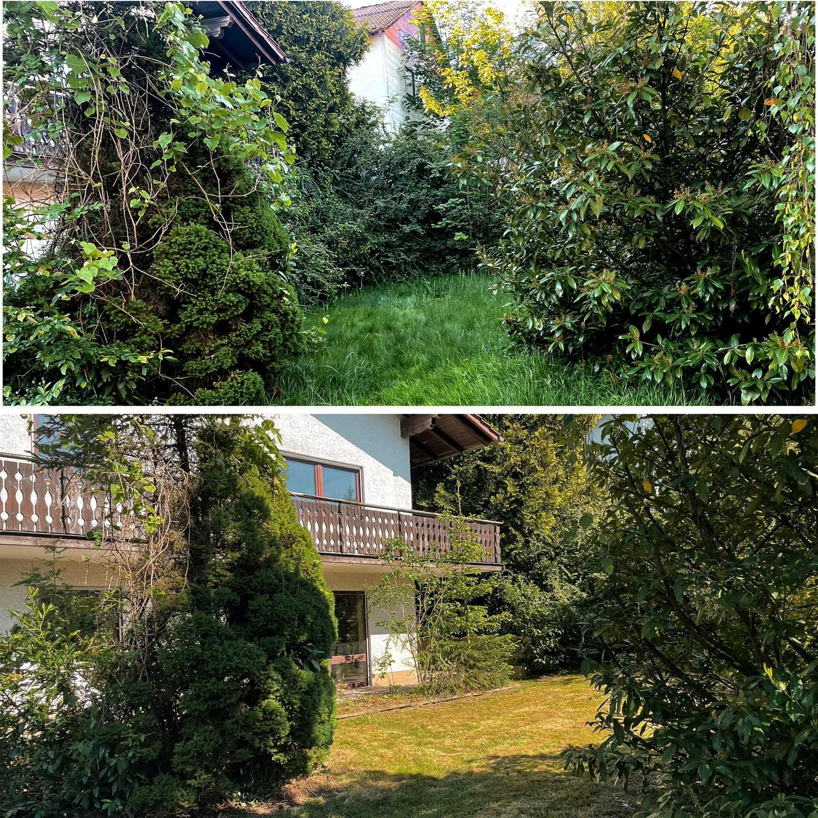 Garten vor und nach der Pflege, oben zugewachsen, unten freigeschnitten und gemäht