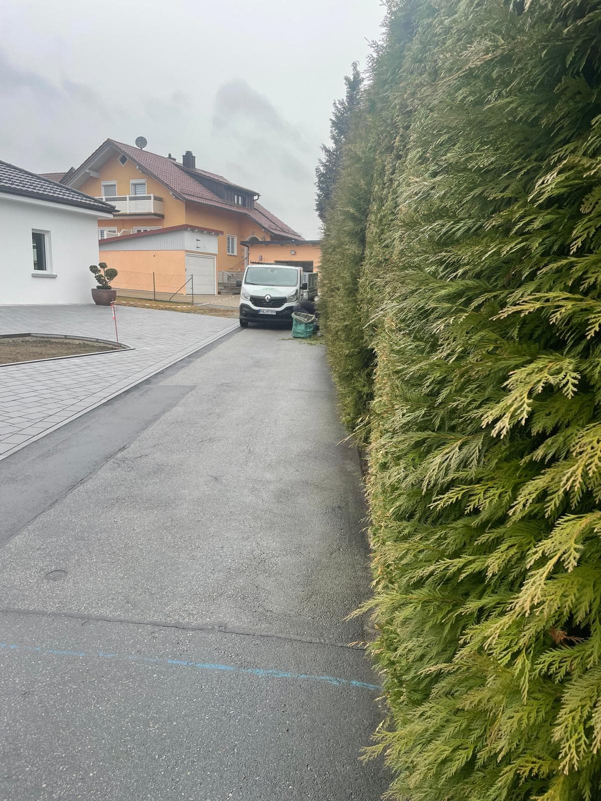 Hecke vor dem Schnitt